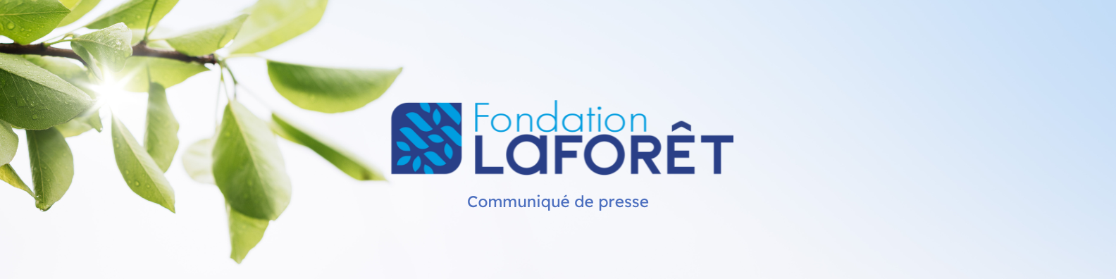 Communiqué De Presse : Fondation Laforêt | Fondation Laforêt ⇔ Laforêt ...